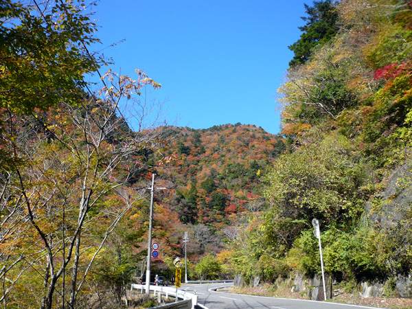 f0087104_16255131.jpg