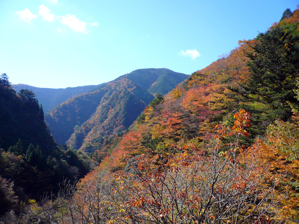 f0087104_16261565.jpg
