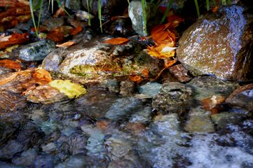 c0097309_12272916.jpg