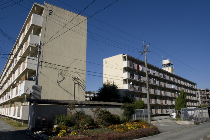 福岡県福岡市博多区 板付団地界隈 風じゃ