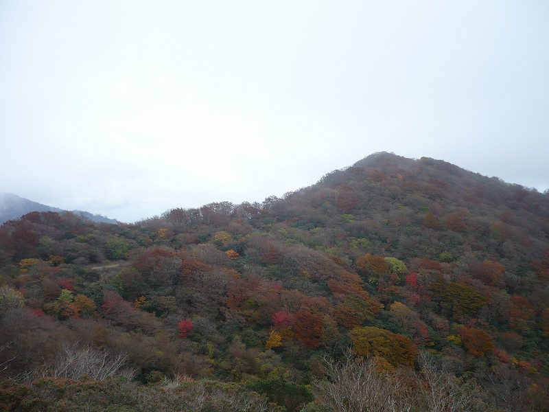 f0182513_21534557.jpg