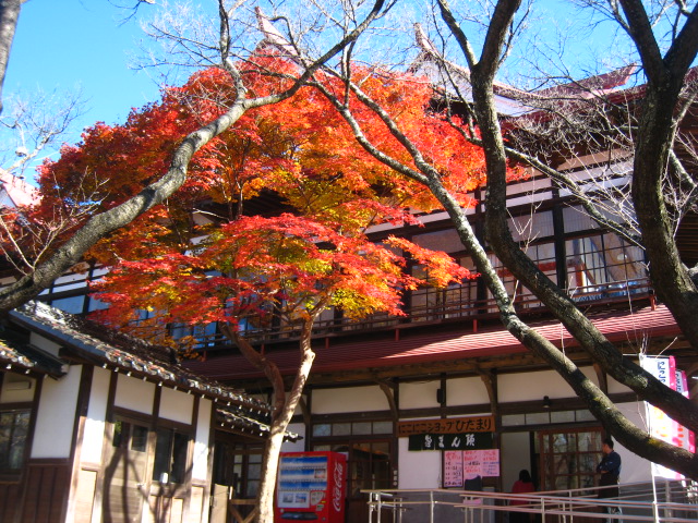 高遠城址公園・紅葉②_f0120317_17184390.jpg