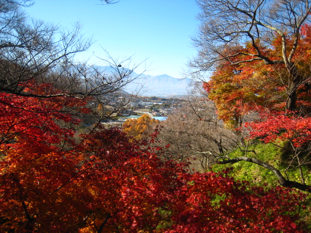 高遠城址公園・紅葉②_f0120317_17211983.jpg