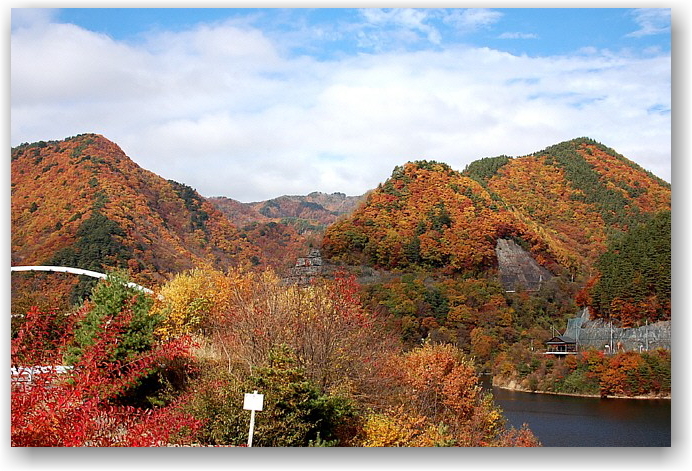 autumn colors in Hokuto City ①_d0083623_17162241.jpg