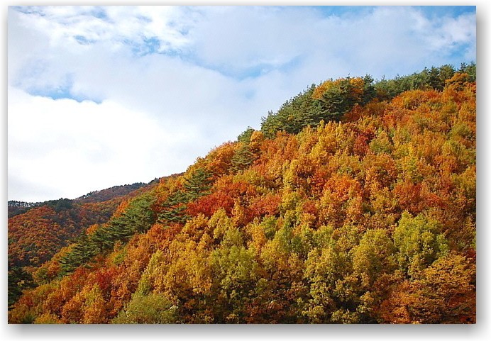 autumn colors in Hokuto City ①_d0083623_17163486.jpg