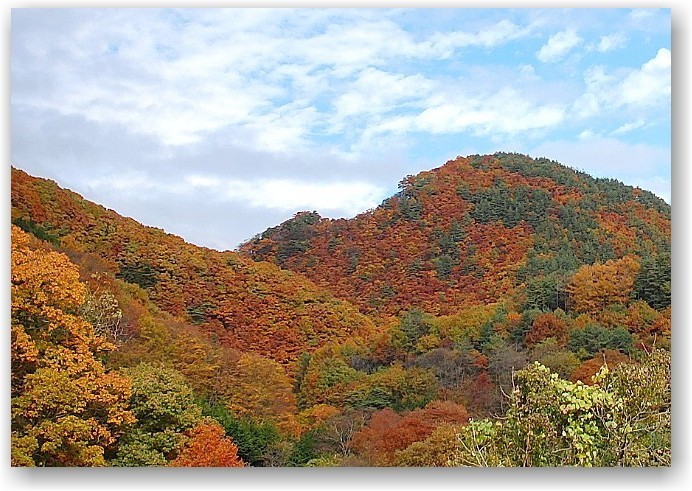 autumn colors in Hokuto City ①_d0083623_17165593.jpg