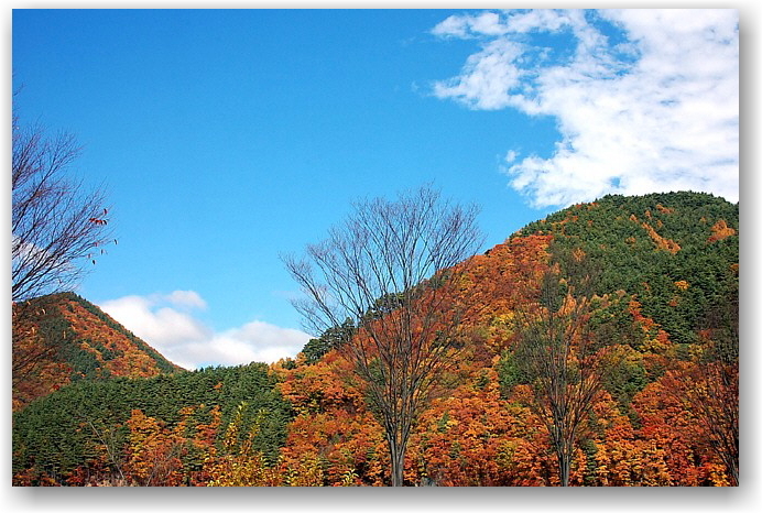 autumn colors in Hokuto City ①_d0083623_1717877.jpg