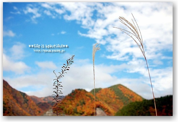 autumn colors in Hokuto City ①_d0083623_1721156.jpg