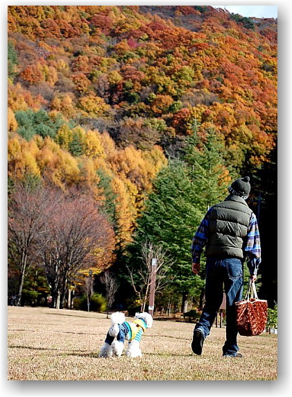 autumn colors in Hokuto City ①_d0083623_17265398.jpg