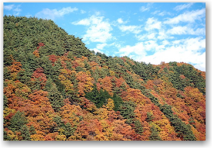 autumn colors in Hokuto City ①_d0083623_17482122.jpg