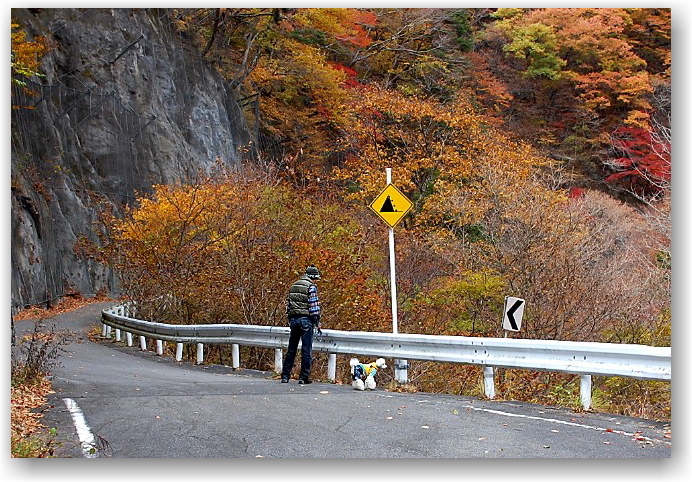 autumn colors in Hokuto City ①_d0083623_17483766.jpg