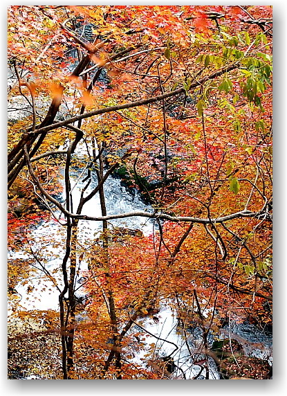 autumn colors in Hokuto City ①_d0083623_17485215.jpg