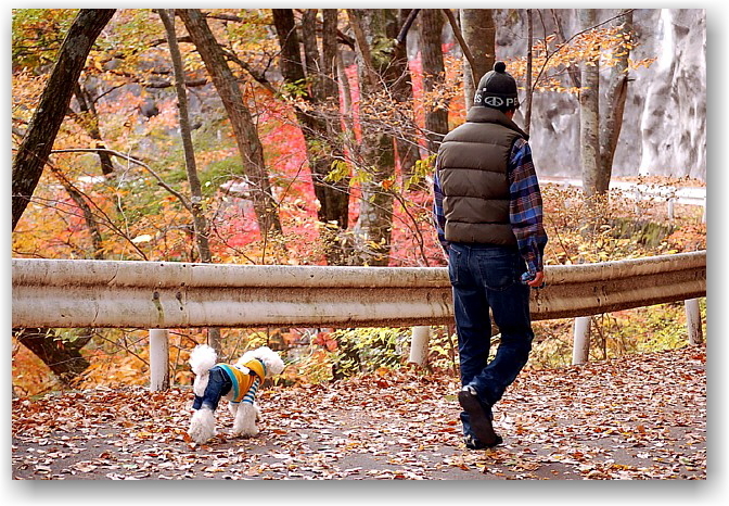 autumn colors in Hokuto City ①_d0083623_1749448.jpg