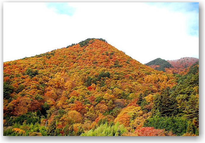 autumn colors in Hokuto City ①_d0083623_1841164.jpg