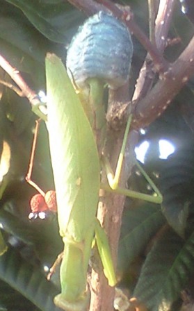 b0108338_14431162.jpg