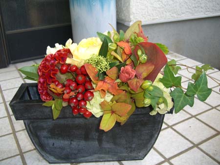 e0110940_1211441.jpg