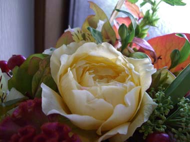 e0110940_122621.jpg