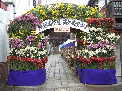 菊祭りの最後のアーチ_a0084753_8235695.jpg