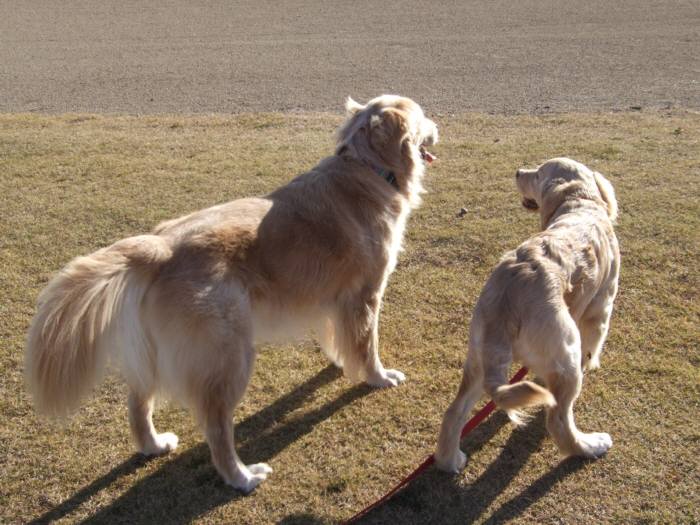 那珂川湖畔運動公園_e0157858_17383431.jpg