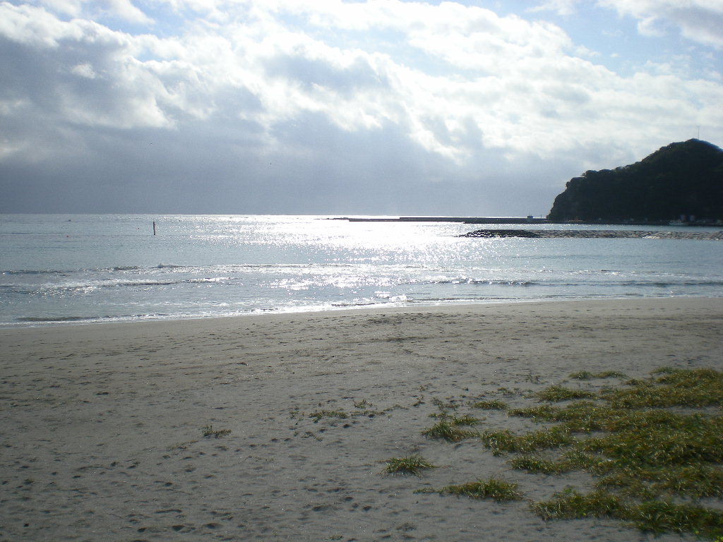 2008年11月15日(土)秋の興津海岸!_f0060461_15281457.jpg