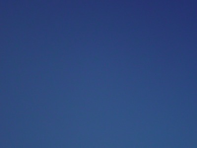 d0141365_70440.jpg