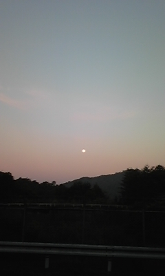 e0143667_10403581.jpg