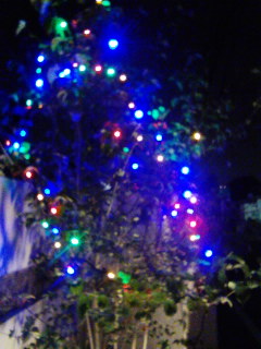 すっかりクリスマス気分に_a0088668_20163293.jpg