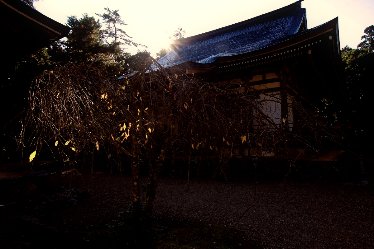 京都　神護寺　4_f0021869_22295199.jpg