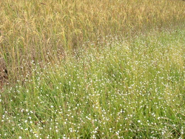 a0067578_35079.jpg