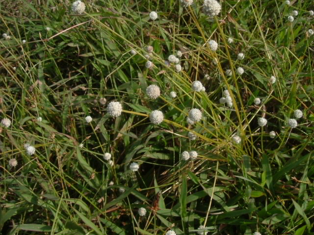 a0067578_35426.jpg