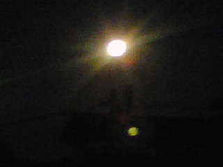 b0080090_9554412.jpg
