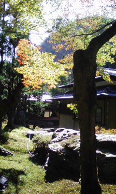 f0168392_012323.jpg