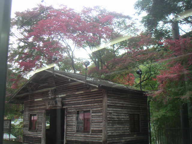 c0173896_14335148.jpg