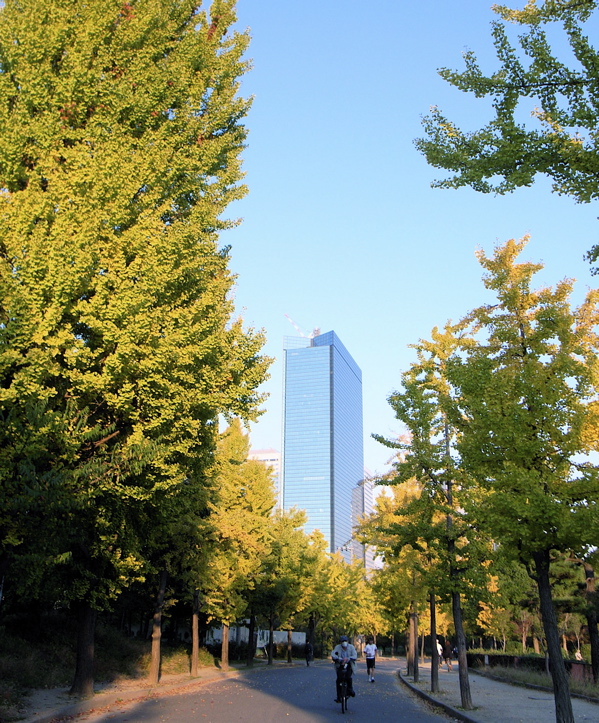 c0015099_2053547.jpg
