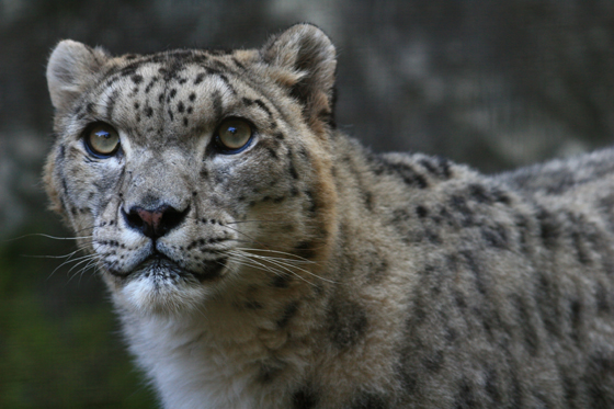 ウワサ_b0016600_215775.jpg