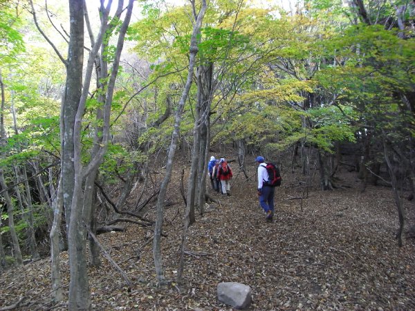 08-11：鷹ノ巣山＆裏英彦山_f0187402_19551296.jpg