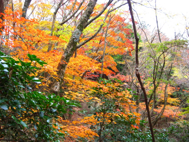 f0187402_21411577.jpg