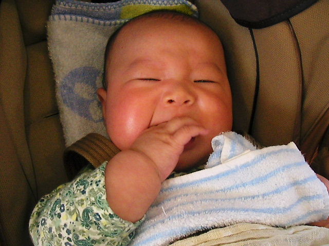 f0038407_17312883.jpg