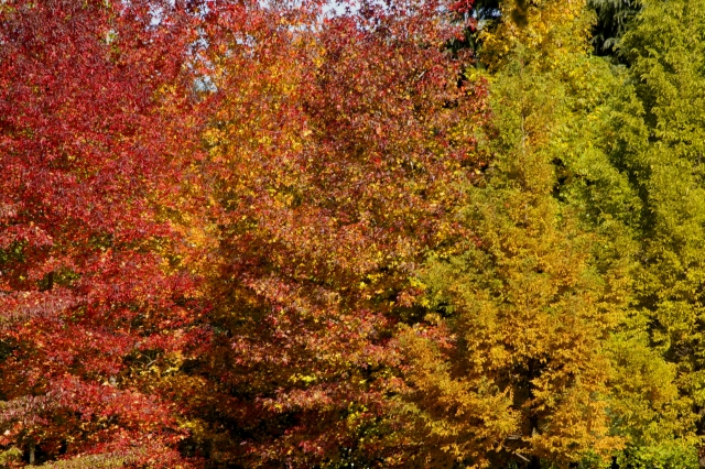 c0156908_23423420.jpg