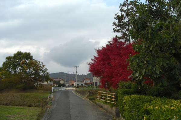 b0131012_17212635.jpg