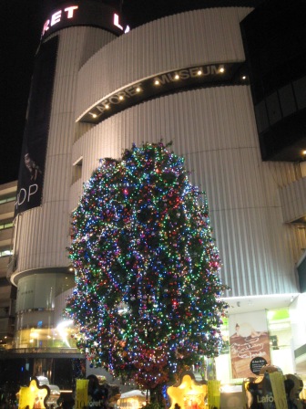 ニコライバーグマンのクリスマスツリー+表参道界隈のクリスマスツリー_e0091712_318104.jpg