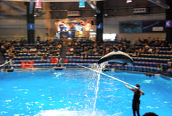 a0031714_18194426.jpg