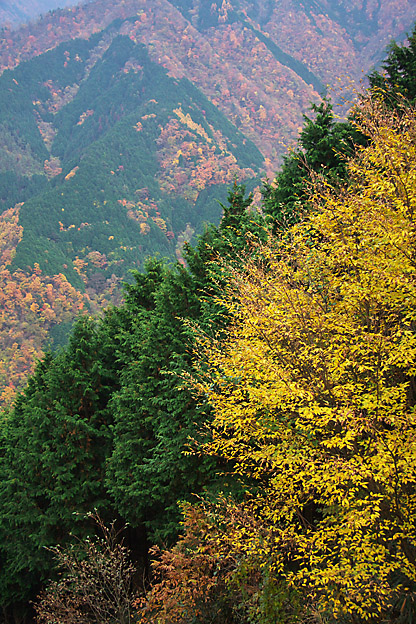 b0010915_0464788.jpg