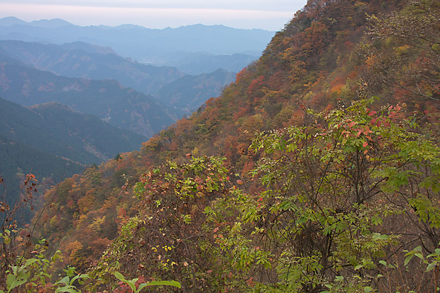 秩父、大血川流域の紅葉_b0010915_0504118.jpg