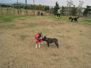 e0080117_22921.jpg