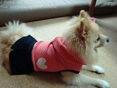 b0075318_227371.gif
