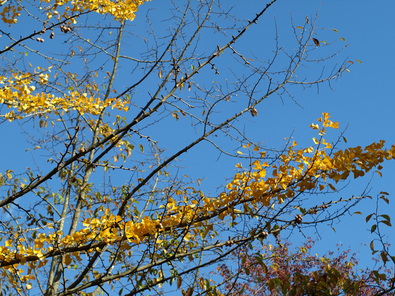 c0062418_2114793.jpg