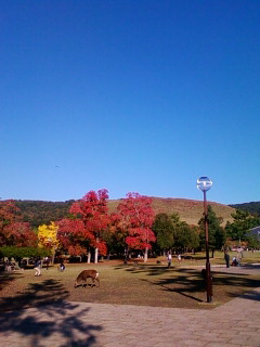 f0083021_013999.jpg