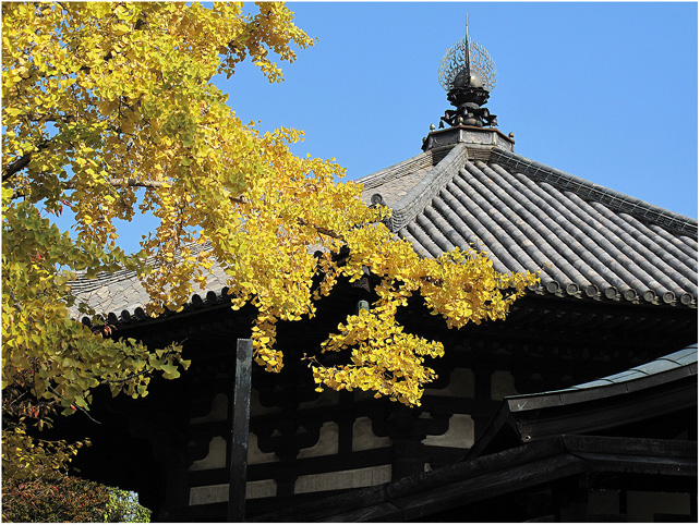 奈良の秋を楽しむ_c0042324_22292577.jpg