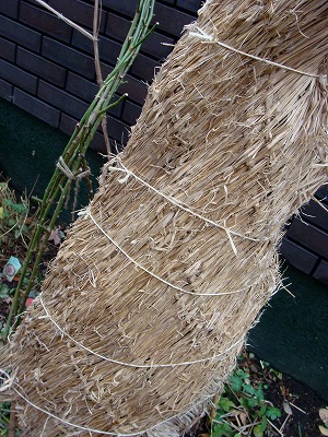 f0170524_15221342.jpg